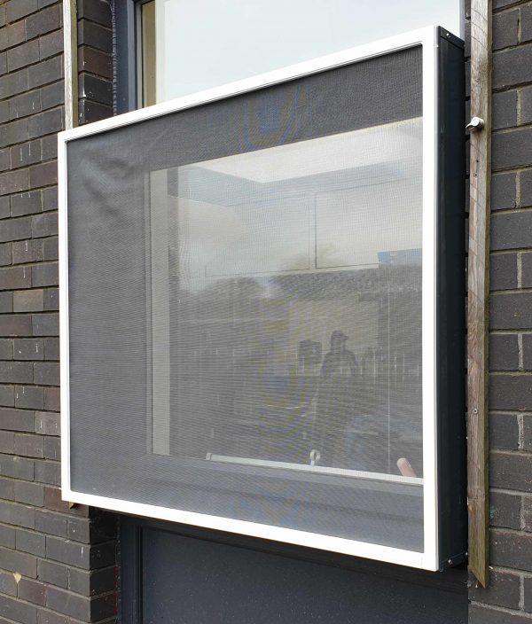 Canopy insect screens Canopy insect screens