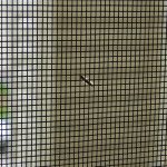 Midge Mesh Insect Rolls 1 Insect mesh