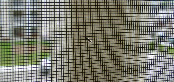 Insect mesh