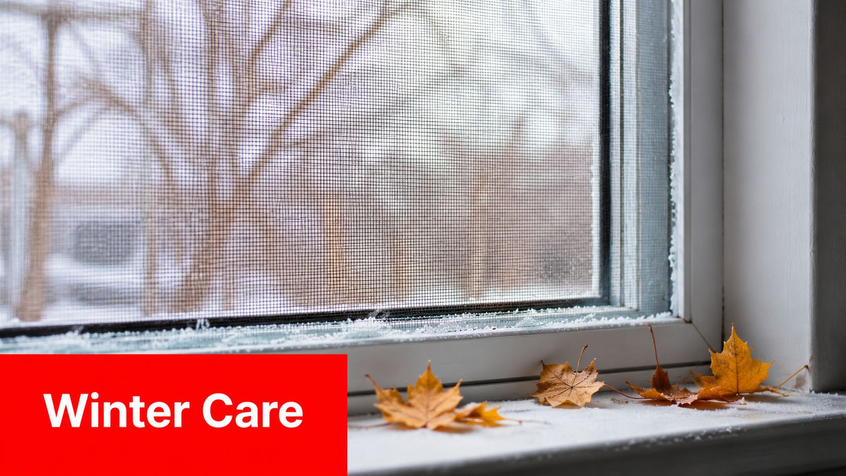 A close-up view of a frosted window ledge with fallen autumn leaves during cold winter weather.