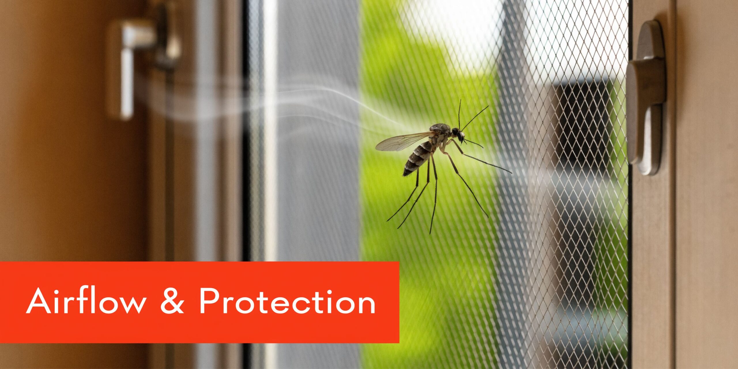 Insect Screens A close up view of a mosquito resting on a stainless steel mesh window screen outdoors.
